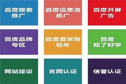 案例解析：SEM托管助力电商销售增长